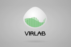 VIRLAB - ensayos de vibración nº253753